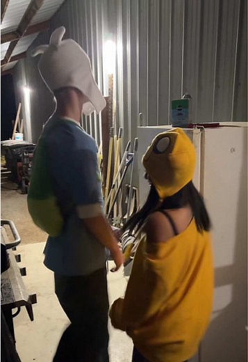 Finn and Jake's Halloween Adventure Costume Ideas