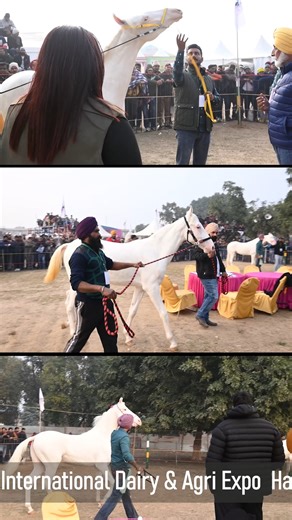 Dairy Farmers Association (HARYANA) on Instagram: "7th DFA 2026 International Dairy & Agri Expo – Haryana 📆 9–10–11 January 2026 📞 BOOK YOUR SPACE NOW +91 96505 33466 – Poras Mehla +91 70277 71707 – Sunil Mehla ✉️ dfaxpo@gmail.com #dfa #dairyfarming #progressivefarmer #teamwork #dairyexpo2026 #agriexpo #haryanaevents #bookyourstall #7th #farmergrowth #dairyindustry #teamgoals #trending #dfaharyana"