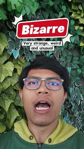 Unique English Words you might not know the meaning: Bizarre