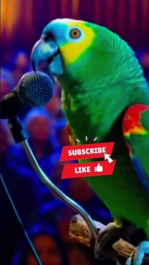 angry parrot but love audience #talkingparot #funny #duet #funnybirds #parrotcomedy