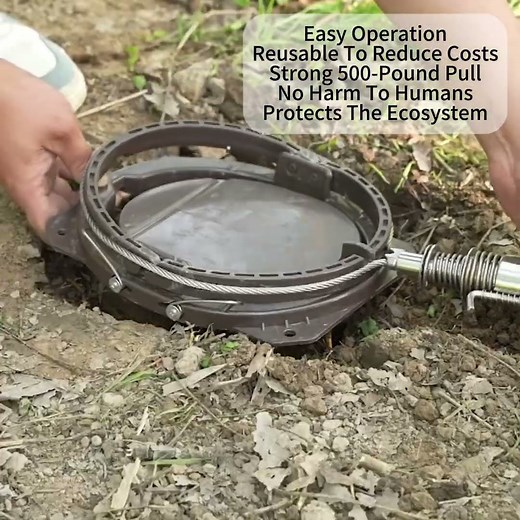 Wild Boar Hunting wild boar trap: Teaching You How to Trap Wild Boar-6