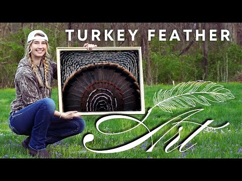 How To Mount Turkey Fan | Turkey Feather Art | DIY