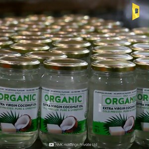 How Edible Oil is Produced in the Mill Plant | Mechanical Mind