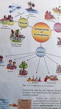 Class 7th geography chapter 1||Environment||explain in hindi #music #song #trending #viral