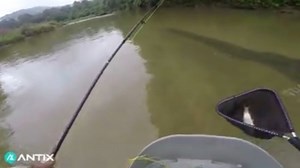 Watch Aventik line basket fly fishing on Amazon Live