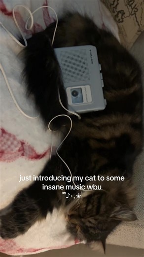 me and bella are both madison fans #madisonbeer #locket #cassette #fyppp #viral
