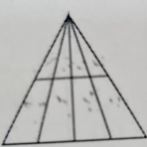 The image shows a large triangle divided into smaller regions b... | Filo