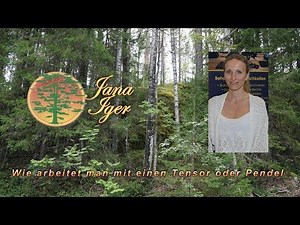 how to work with a tensor or pendulum