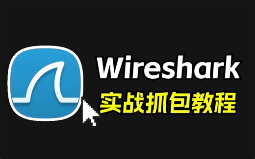 最适合小白的WireShark使用教程（超详细保姆级）