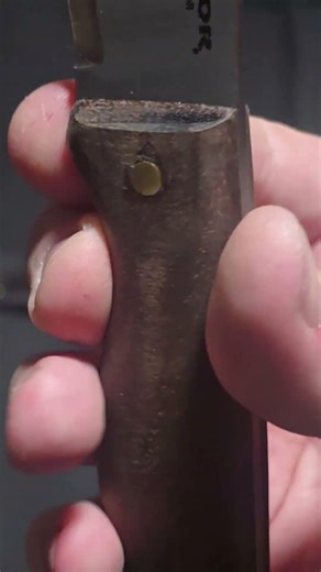 Condor Bushlore First Impressions