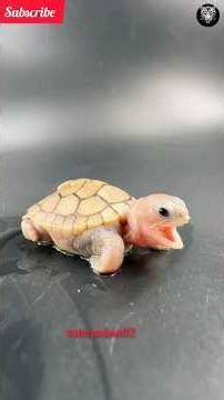 🔥 From Tiny to Titan: Wildlife Transformation🤯🐍🦎 #wildlife #growth #animals 💀