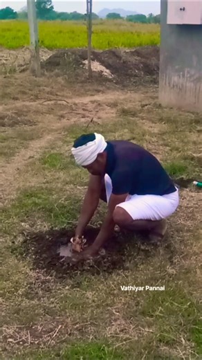 பண்ணை செயல்பாடுகளில் இன்று... 😍❤️#animals #agriculture #farming