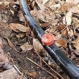 30Pcs 1 GPH Pressure Compensating Irrigation Spot Drippers,Constant Flow Barb Outlet Watering Dripper Emitters Heads Parts for 1/4 Inch Watering Tubing Line for Garden Pots Plant Irrigation Systems