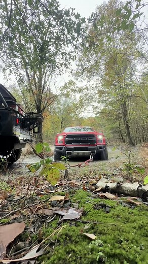 Working out of the mud, turning wheel to get around tree and gain traction. Jeep has to pull to the side because that is the only angle to get around other trees. Did it work…..yes | Off Road Consulting and Driving Instruction