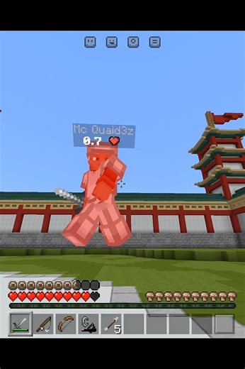 Java Hand Animations are Insane 🗿 #minecraft