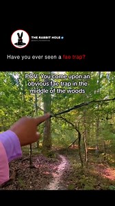 739K views · 16K reactions | Have you ever seen a fae trap? | The Rabbit Hole | Facebook