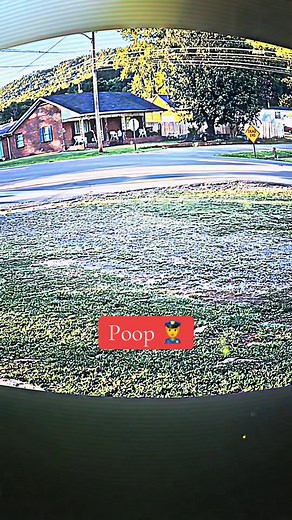 11 reactions | “Are Secret Cameras Really Needed? Pros and Cons” #story #prank #storylover #shock #fypvira | Surveillance camera | Facebook