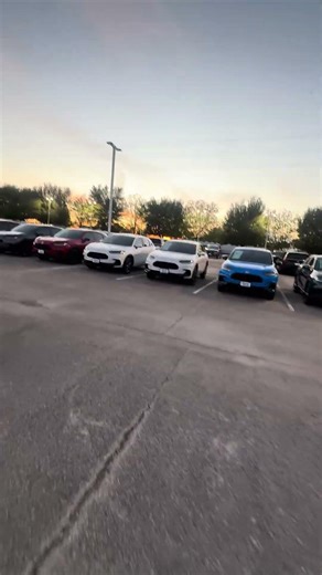 2007 Fit for Benjamin by Richard