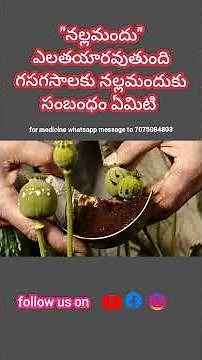 How is opium made? What is the relationship between poppies and opium? Afim-khaskhas Benefits