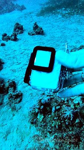 36K views · 107 reactions | Sometimes people ask me to test their new gear underwater in real-life conditions. As you can see, there were no leaks during a deco dive. The GoPro housing was ordered from AliExpress. Real depth. Real pressure. Real testing. Real results. #testing #gopro #aliexpress @highlight GoPro AliExpress | Max Barton | Facebook