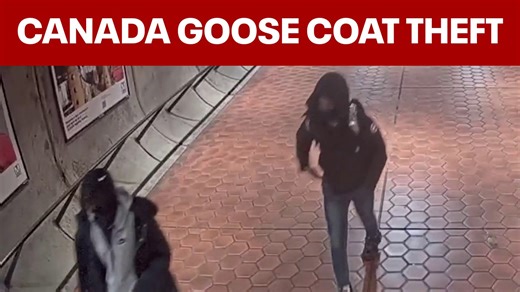 A woman says three masked teenagers followed her from the Waterfront Metro and tried to rip her $1,200 Canada Goose coat off her back in Southwest D.C. | Fox 5 DC