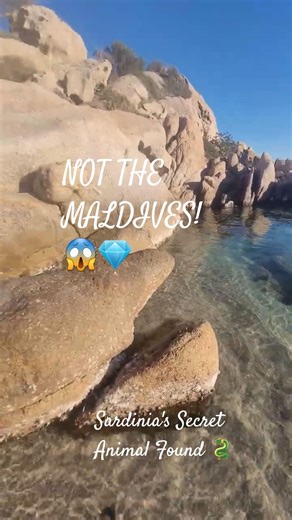 Sardinia: The Secret Sensual Paradise 💎 #sardinia