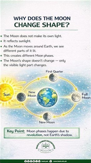 Why Does the Moon Change Shape? 🌙 | Moon Phases Explained in 1 Minute