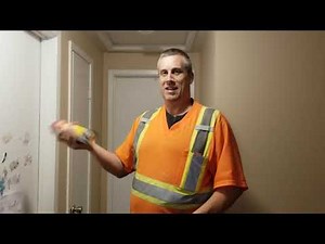 Getting rid of the attic wasp nest