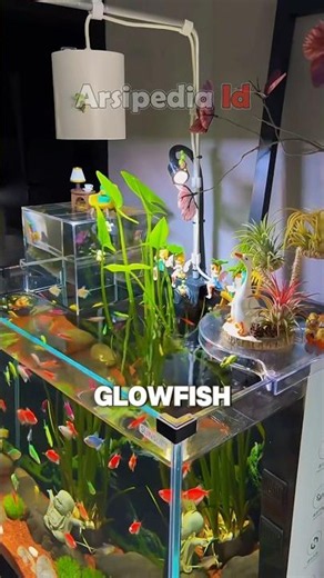 Simple yet beautiful GloFish aquarium setup for your room #freshwaterfish #fish