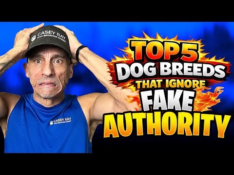 Top 5 Dog Breeds That Ignore Fake Authority