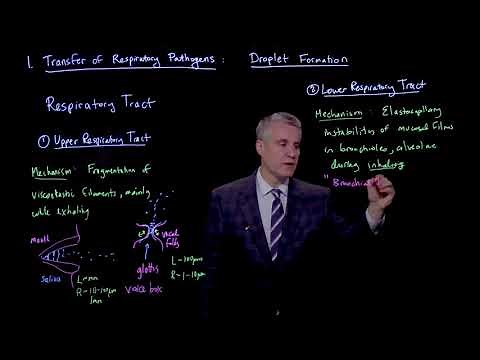 Transfer of respiratory pathogens: Droplet formation