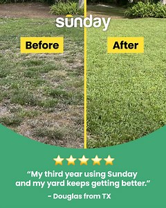3.2K views | Save Hundreds—Get 25% Off Lawn Plans | Sunday | Facebook
