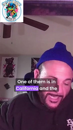 Monster Box Rack Systems Arrive in the US