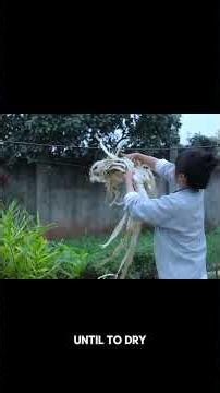 Create Paper Using Wood's Skin