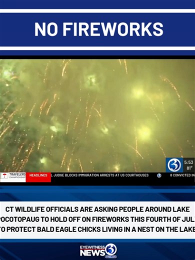 Bald eagle chicks at risk from Fourth of July fireworks, DEEP warns