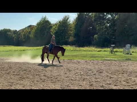 2021 gelding by Makin Me Willy Wild