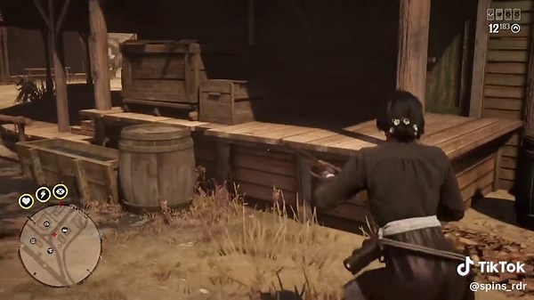 Armadillo Attacks in Red Dead Redemption 2
