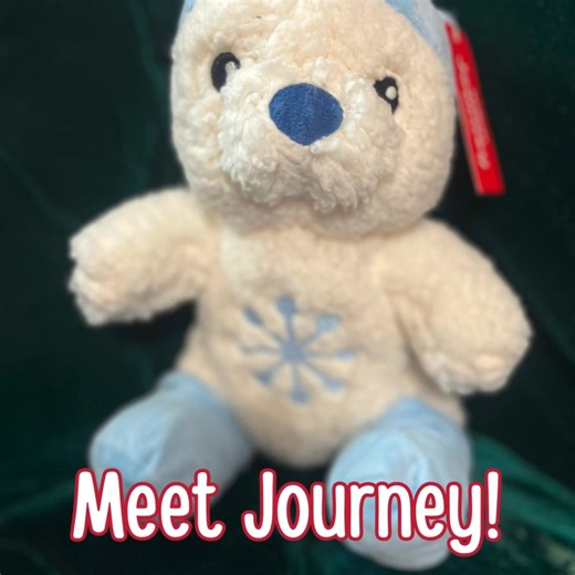 🎄✨ The elves have arrived at Santa at the Station! ✨🧸 Meet our cuddly crew of adoptable holiday friends — Journey the Snow Bear, Fortune the Reindeer, Wonder the Barn Owl, Cheer the Holiday Penguin, Chance the Dog, and Lucky the Snow Cat! 🐾 Each child who visits Santa at the Station will get to adopt one of these magical pals to take home…But first, they’ll stop by the Elf Wellness Center, all sponsored by our friends at Open Range Chiropractic for a North Pole check-up to make sure their new