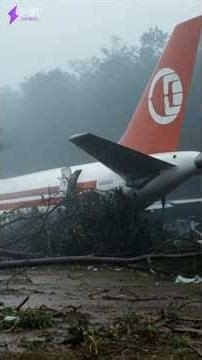Plane crashes into trees and catches fire - Malaysian Airline System Flight 684 #shorts