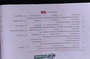 The common method of reproduction in bacteria is... | Filo