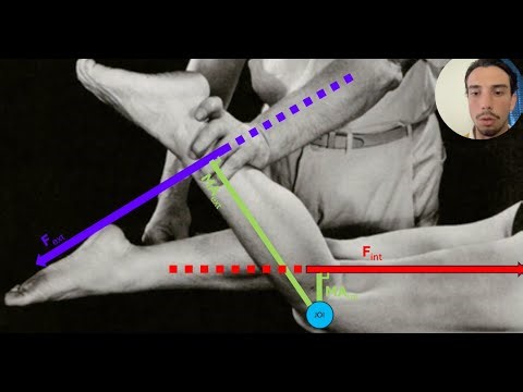 Part 2: Completing the Free Body Diagram & Analyzing winning forces