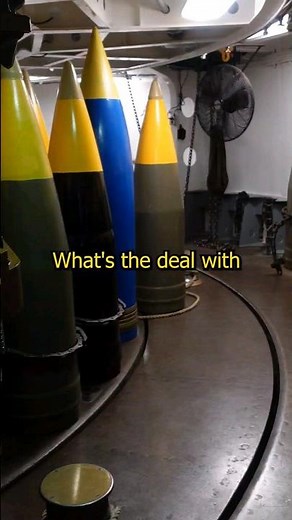 What Do The Colors of the Shells Indicate?