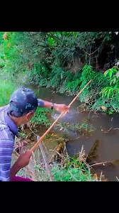 150K views · 1K reactions | Nunca ignore uma vala na beira da estrada olha só o tamanho do trairão | Pescadores de arroio | Facebook