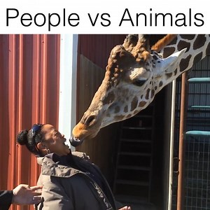 70M views · 121K reactions | These are hilarious..  Follow Howlers for more. | Howlers | Facebook