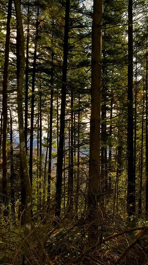 #Washington #FlyWashington #GoldenHourMagic #waste | Adventure Leopards