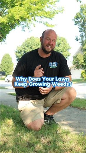 Mowing Too Short Is Why You Have A Weed Problem #shorts