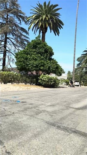 Go-Ped: Quick Drift #goped #gopedracing