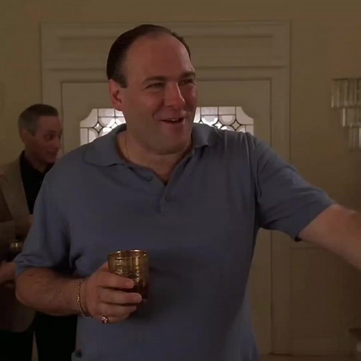 The elegant Furio #thesopranos #tonysoprano #pageforyou #foryou