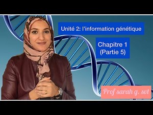 Unité 2/chapitre 1 (partie 5)/ ADN, nucléotide, histone...