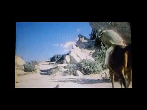 Coach Tom Landry in an American Express commercial.